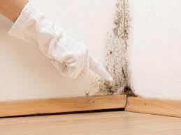 Best Residential Mold Inspection & Testing  in Waterville, ME